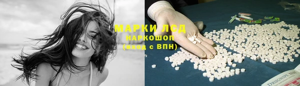 сатива Касимов