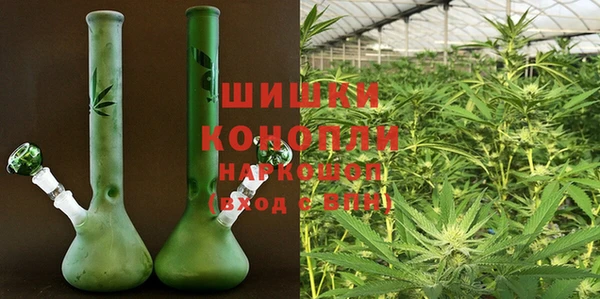 сатива Касимов