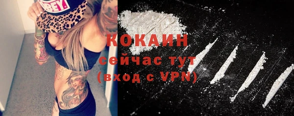 сатива Касимов