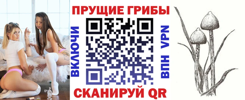 Купить где  Горбатов  Псилоцибиновые грибы прущие грибы 